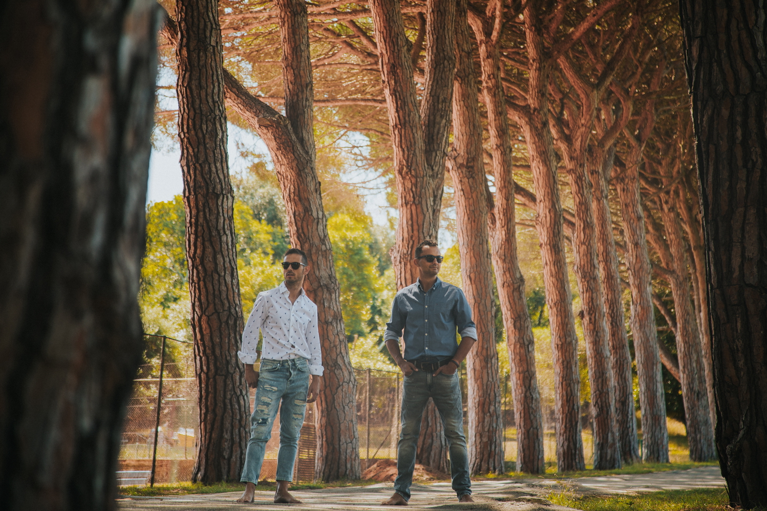 Hojsak & Novosel photos